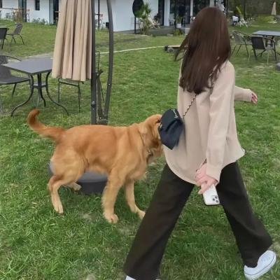 福尔摩斯与华生封面
